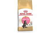Kissat - Royal Canin Maine Coon Kitten- dry cat food - 4 kg - 3182550770958