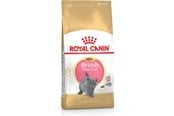 Kissat - Royal Canin British Shorthair Kitten cats dry food - 3182550816533