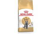 Kissat - Royal Canin British Shorthair - dry cat food - 2 kg - 3182550756419