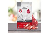 Koirat - Platinum 4260208740658 dogs dry food - 4260208740658
