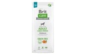 Koirat - Brit Adult Large Breed Salmon - dry dog food - 12 kg - 8595602558896