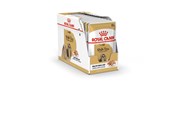 Koirat - Royal Canin Shih Tzu Adult Wet dog food Pâté 12x85 g - 9003579013694