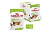 Koirat - Royal Canin Adult xs-small - wet dog food - 12 x 85g - 9003579028957