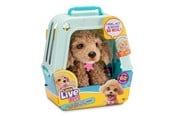 Pehmolelu - Little Live Pets - My Really Real Puppy - Curley - 26612