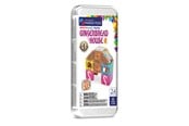 Rakennussarjat - Magna-Tiles Travel Gingerbread House - 90492