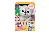 Leikkisetit - Little Live Pets MY BABY KOALA - 26840
