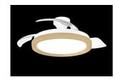 Valaisimet - Philips Bliss DC Fan ceiling 28W+35W TW Wood - 929004764301