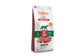 Koirat - Calibra Life Senior Large Fresh Beef - dry dog food - 12kg - 8595706701273