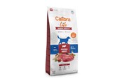 Koirat - Calibra Life Senior Medium Fresh Beef - dry dog food - 12kg - 8595706701259