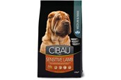 Koirat - Farmina Pet Food SENSITIVE LAMB MEDIUM & MAXI 14 kg Adult - PCB140004S