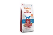 Koirat - Calibra Dog Life Adult Medium Fresh Beef - dry dog food - 12kg - 8595706701211