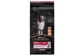 Koirat - PURINA NESTLE Medium Adult Sensitive Skin 14 kg Salmon - 7613035120464