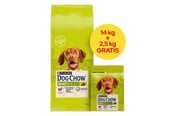 Koirat - PURINA NESTLE Dog Chow Adult Lamb - dry dog food - 14 + 2.5kg - 8445291654679