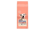 Koirat - PURINA NESTLE DOG CHOW Sensitive Adult 14 kg Salmon - 7613034488244