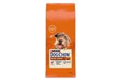 Koirat - PURINA NESTLE Dog Chow Mature Senior with lamb - dry dog food - 14 kg - 7613287575456