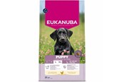 Koirat - Eukanuba Premium Nutrition Puppy Large & Giant Breed Chicken - dry dog food - 18kg - 8710255205045