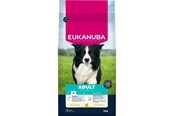 Koirat - Eukanuba Premium Nutrition Adult Medium Breed Chicken - dry dog food - 15kg - 8710255201948