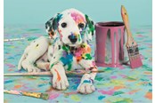 Palapelit - Clementoni Puzzle HQC The Funny Dalmatian 500 pieces Lattia - 35150