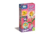 Luovat leikit - Clementoni Small Fragrant Flower - Daffodil - 18180