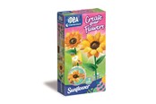 Luovat leikit - Clementoni Create Your Flowers Sunflower - 18347