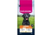 Koirat - Eukanuba Premium Nutrition Puppy Junior & Giant Breed Chicken - dry dog food - 15kg - 8710255201795