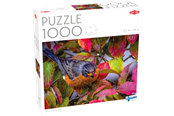 Palapelit - Tactic 1000 pcs puzzle: Robin in the Autumn Leaves - 60473
