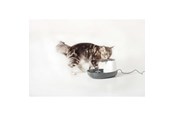 Kissat - Nobby Drikke fontæne Cascade 1.5 L - L72144