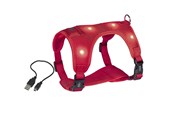Koirat - Nobby Seletøj Flash Mesh L Rød - L80752-01