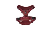 Koirat - 51 Degrees North 51 - Wanderful - H Harness - Trail - Burgundy - L - 51AWFHT205