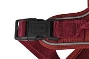 Koirat - 51 Degrees North 51 - Wanderful - H Harness - Trail - Burgundy - M - 51AWFHT204