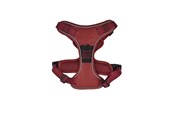 Koirat - 51 Degrees North 51 - Wanderful - H Harness - Trail - Burgundy - XS - 51AWFHT202