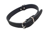 Koirat - Nobby Halsbånd TABIL 45 cm (35-40 cm) 18 mm Sort - L80922-05