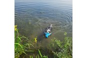 Koirat - Nobby Blæksprutte Floating - L62516