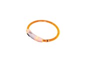 Koirat - Nobby LED halsbånd VISIBLE S - 35 cm - L78263