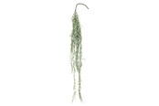 Sisustus - Bloomingville Tilandsia - 82061497