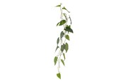 Sisustus - Bloomingville Anthurium - 82061498
