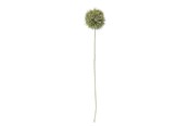 Sisustus - Bloomingville Allium - 82061466