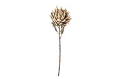 Sisustus - Bloomingville Protea - 82061468