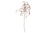 Sisustus - Bloomingville Eucalyptus - 82061470