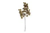 Sisustus - Bloomingville Eucalyptus - 82061474