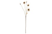 Sisustus - Bloomingville Poppy - 82061478