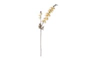 Sisustus - Bloomingville Larkspur - 82061480
