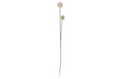 Sisustus - Bloomingville Phlox - 82061506