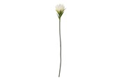 Sisustus - Bloomingville Lily - 82061508