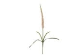 Sisustus - Bloomingville Foxtail - 82061510
