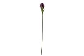 Sisustus - Bloomingville Lily - 82061512