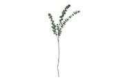 Sisustus - Bloomingville Eucalyptus - 82061514