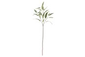 Sisustus - Bloomingville Eucalyptus - 82061520