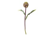 Sisustus - Bloomingville Protea - 82061523