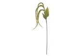 Sisustus - Bloomingville Foxtail - 82061539